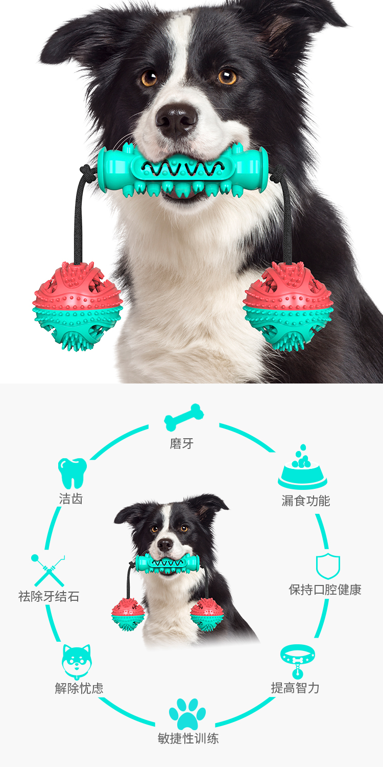 Pet products New Amazon dog toy teething stick bite resistant bone toothbrush dog toy with rope full figure