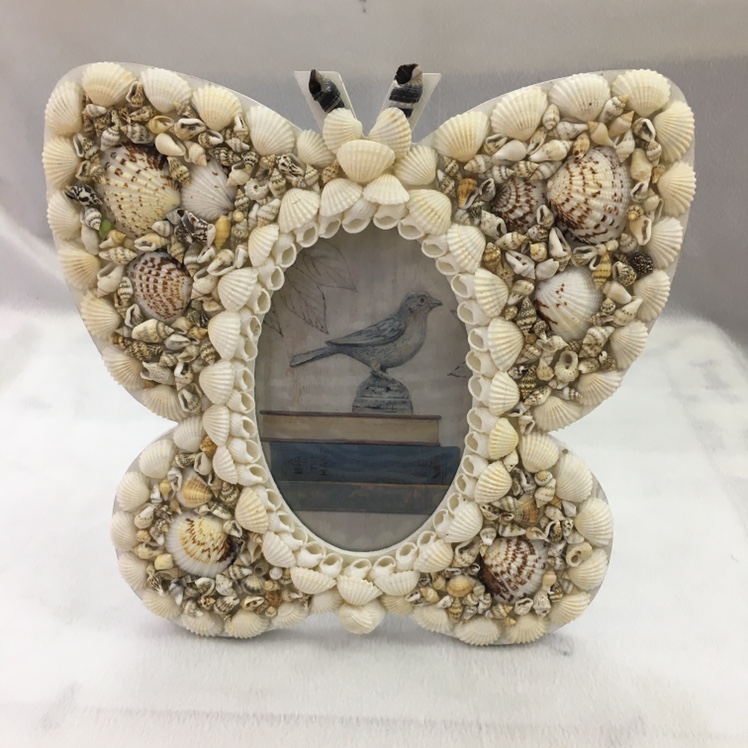 6 "natural shell frame butterfly decoration