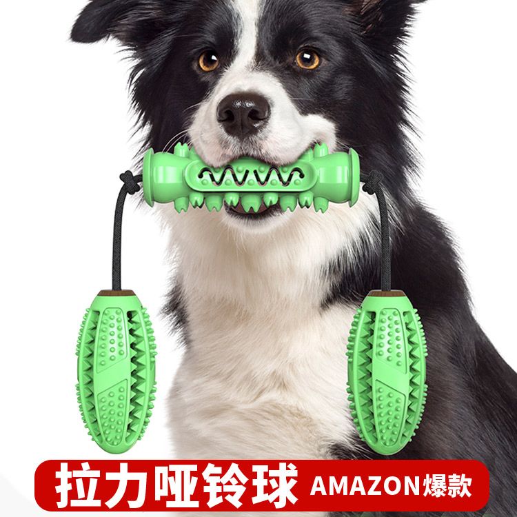 宠物用品新品亚马逊爆款狗狗玩具磨牙棒耐啃咬骨牙刷狗玩具带绳产品图