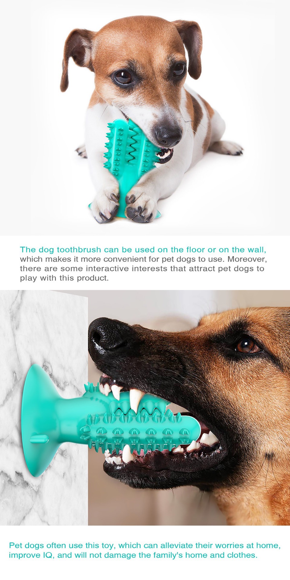 Pet products new Amazon dog toothbrush cactus dog grinding stick leaky food bite resistant undefined