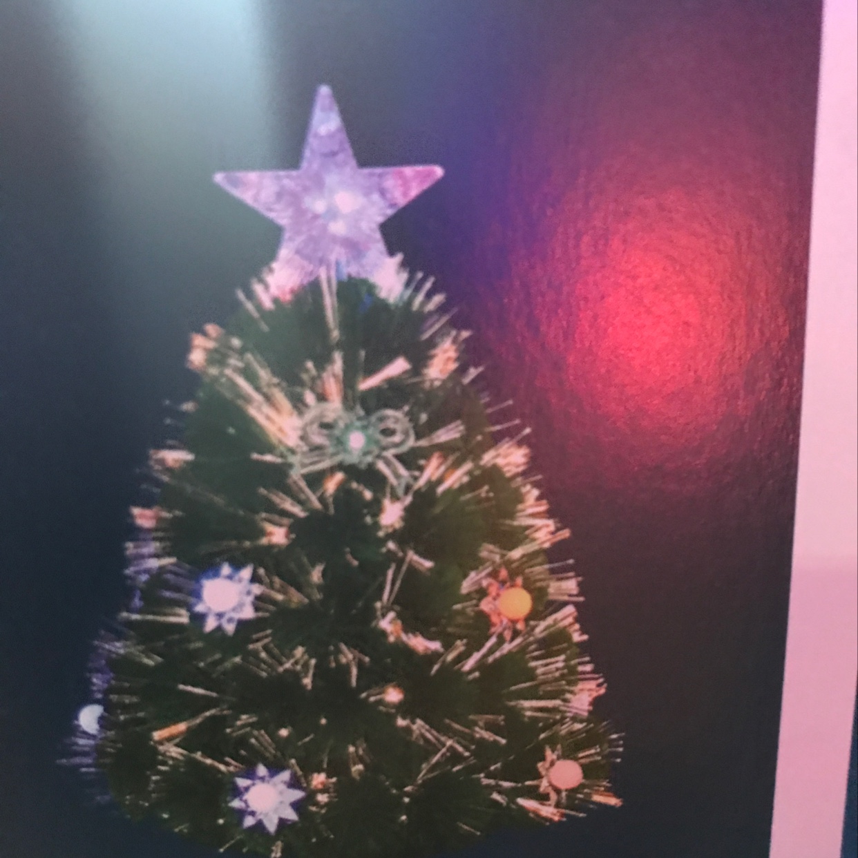 Grand Christmas Grand Christmas Bow Christmas 🎄