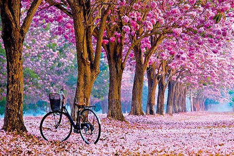 Three-dimensional stereoscopic paintings, decorative calligraphy and paintings, 3858 3D landscape paintings details Picture