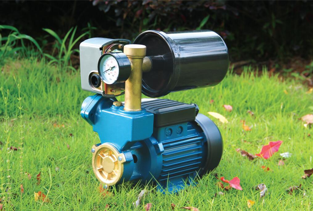 WZ series self-priming peripheral pump with tank and switch详情图1