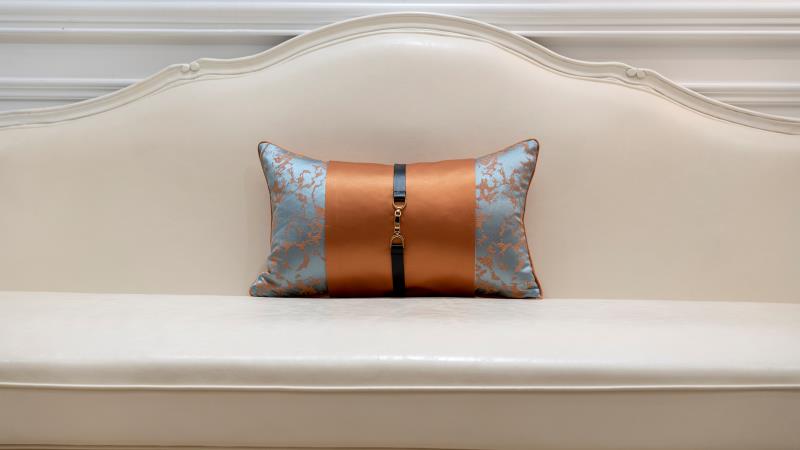 抱枕/压皱抱枕/靠枕产品图