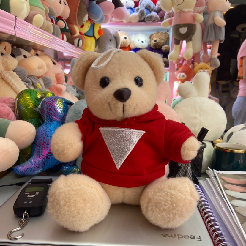 棕色三角卫衣熊