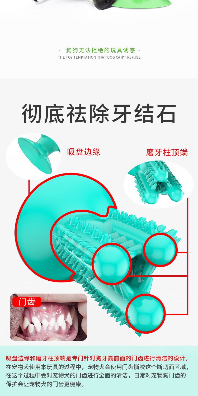 Pet products new Amazon dog toothbrush cactus dog grinding stick leaky food bite resistant Application Scenario