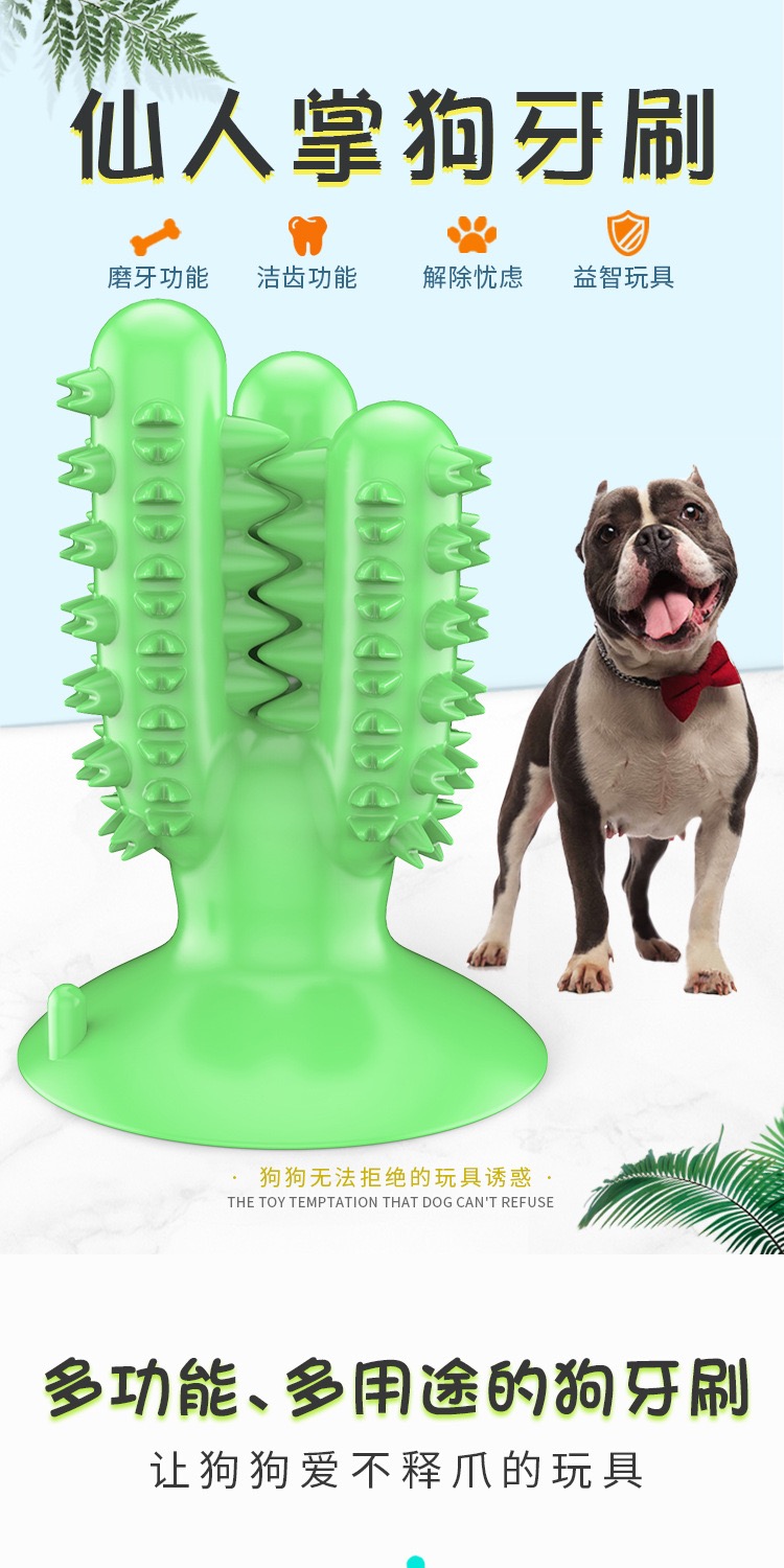 Pet products new Amazon dog toothbrush cactus dog grinding stick leaky food bite resistant full figure