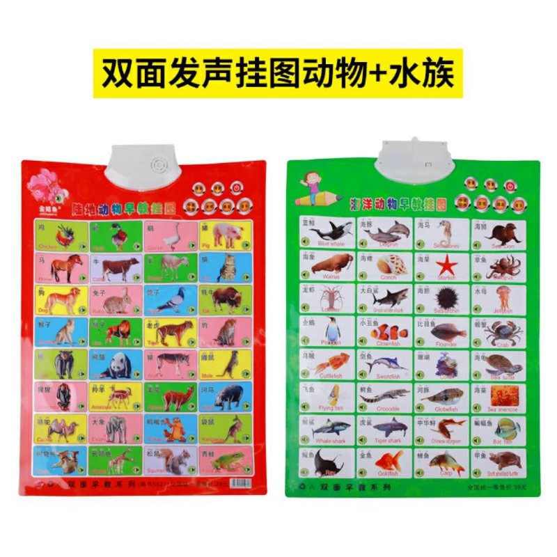 Double-sided pronunciation wall chart, children's teaching aid Specification image