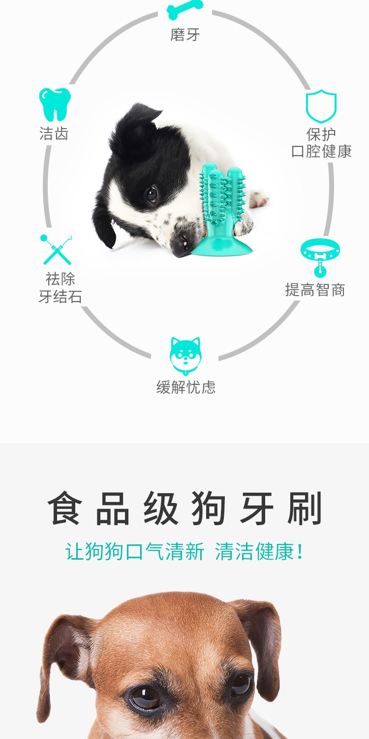Pet products new Amazon dog toothbrush cactus dog grinding stick leaky food bite resistant details Picture