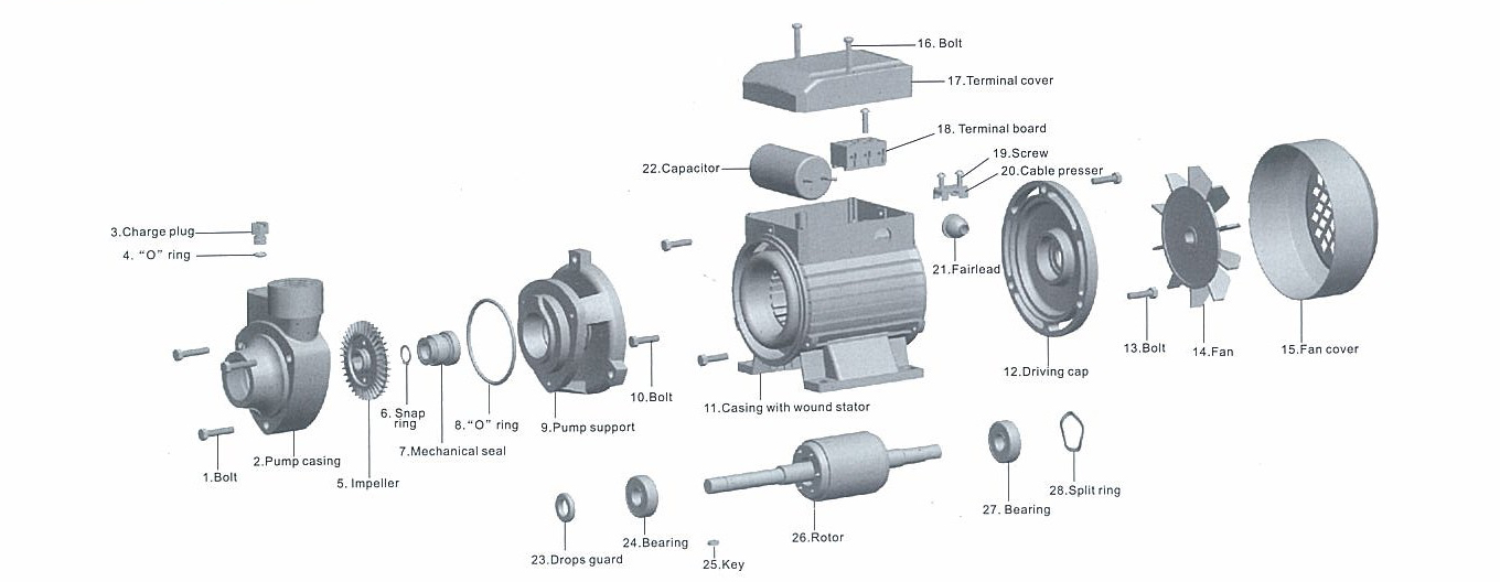 KF Series Domestic Clean Water Pump (CE ISO 9001) for Iraq详情图3