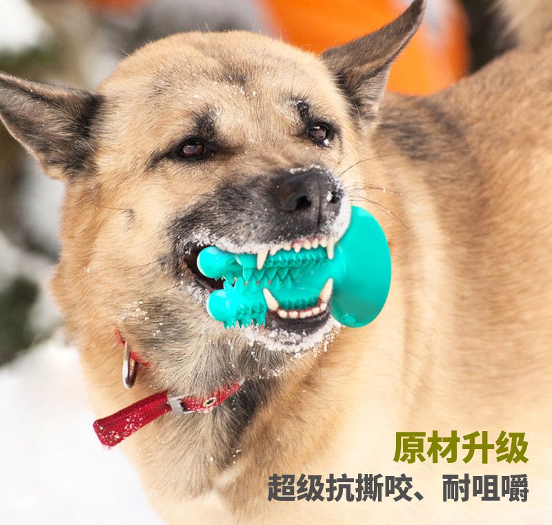 Pet products new Amazon dog toothbrush cactus dog grinding stick leaky food bite resistant Application Scenario