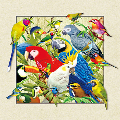 Three-dimensional decorative painting, 5050, 5D parrot painting