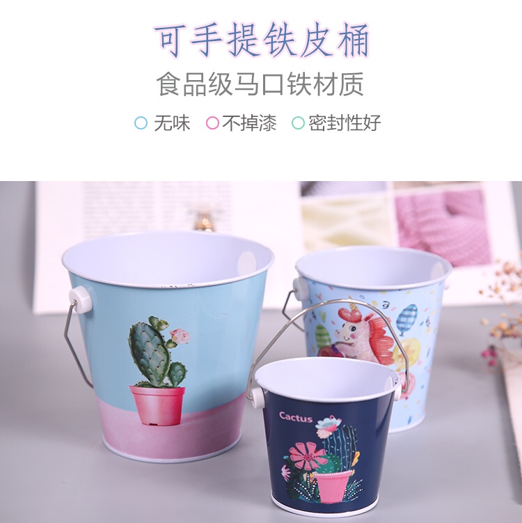 大中小号马口铁水桶工具桶笔筒迷你可爱小花桶多肉铁桶