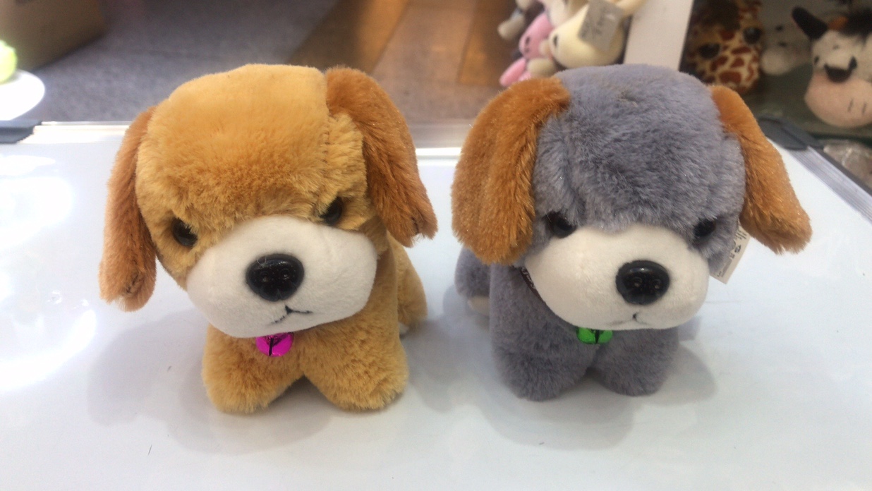 Maomao dog thumbnail