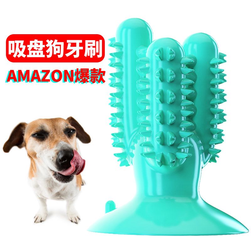 Pet products new Amazon dog toothbrush cactus dog grinding stick leaky food bite resistant details Picture
