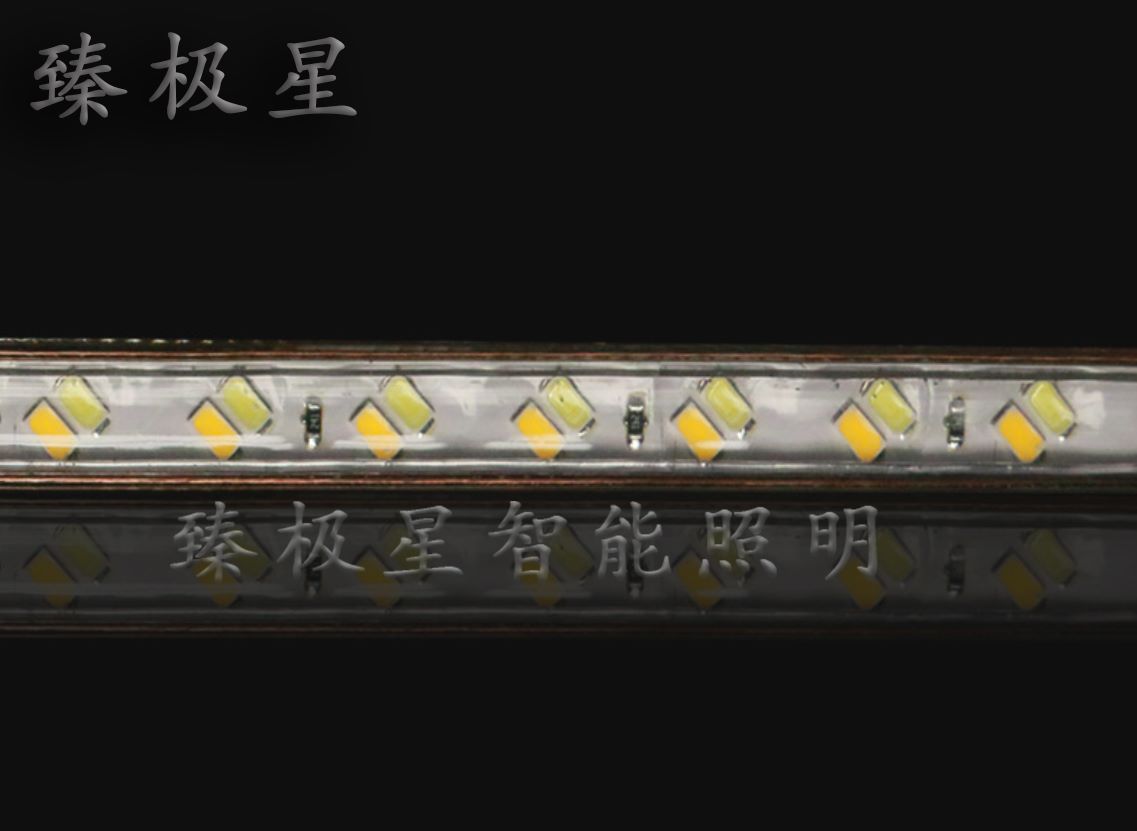 高压灯带led双色变光灯带5730三色遥控 高亮220V灯带