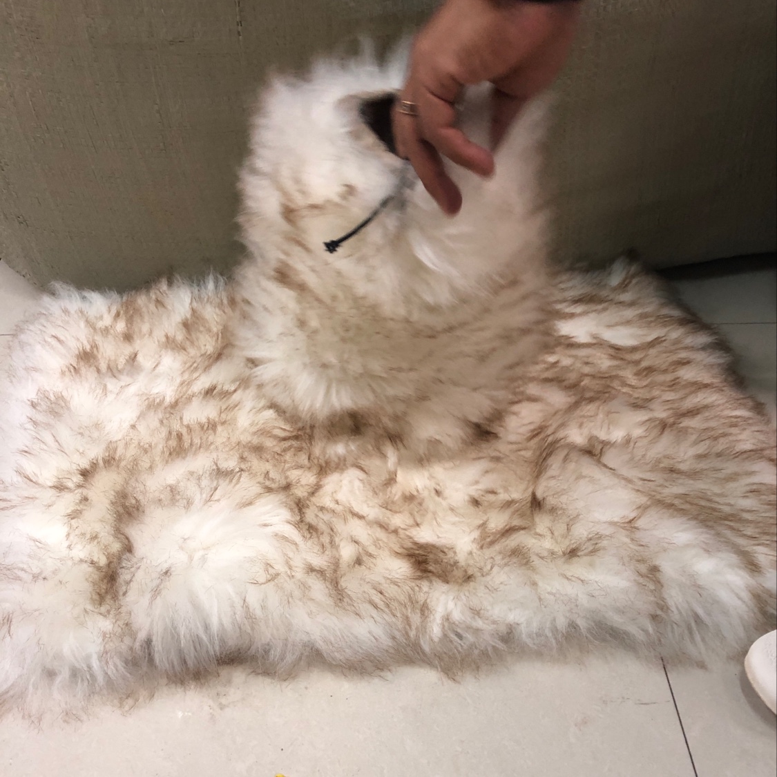 毛绒汽车挡外套白色1