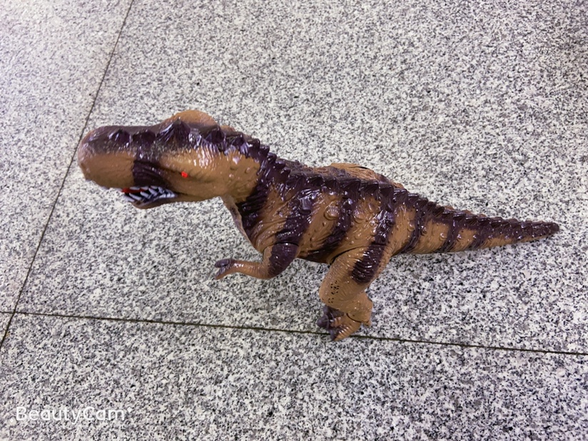 恐龙11