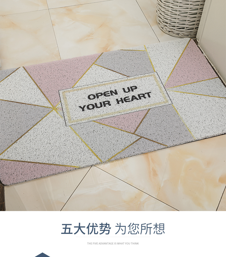 INS北欧风PVC丝圈地垫脚垫清新简约进门入户防滑门垫家用卧室地毯详情图5