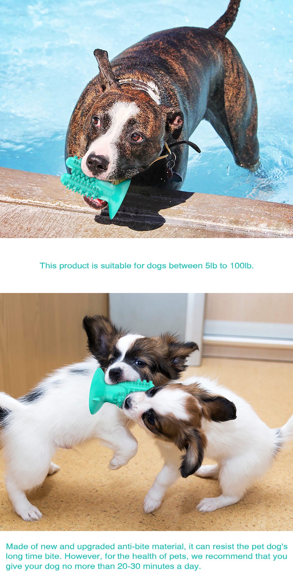 Pet products new Amazon dog toothbrush cactus dog grinding stick leaky food bite resistant undefined
