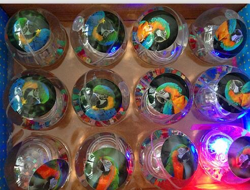 猫头鹰卡片水晶球