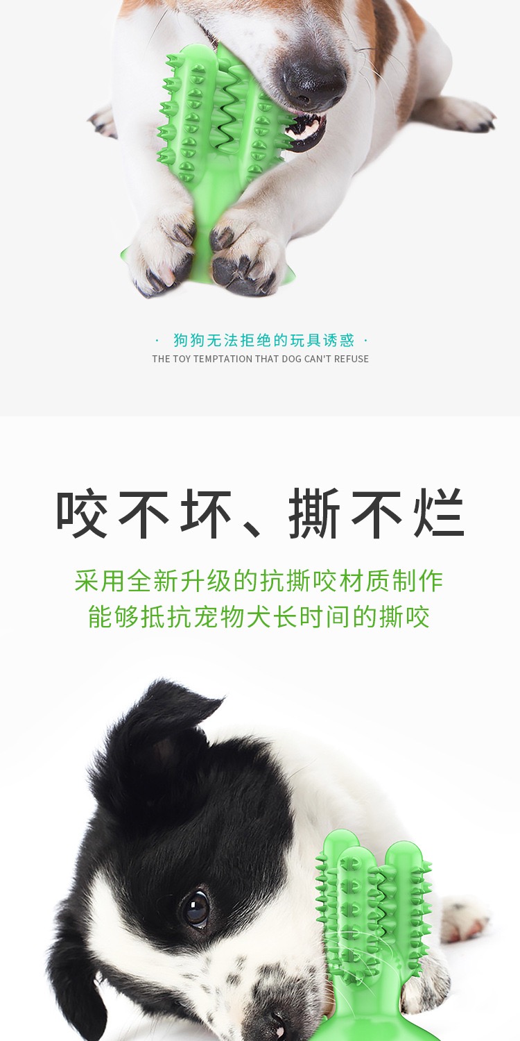 Pet products new Amazon dog toothbrush cactus dog grinding stick leaky food bite resistant Specification drawing