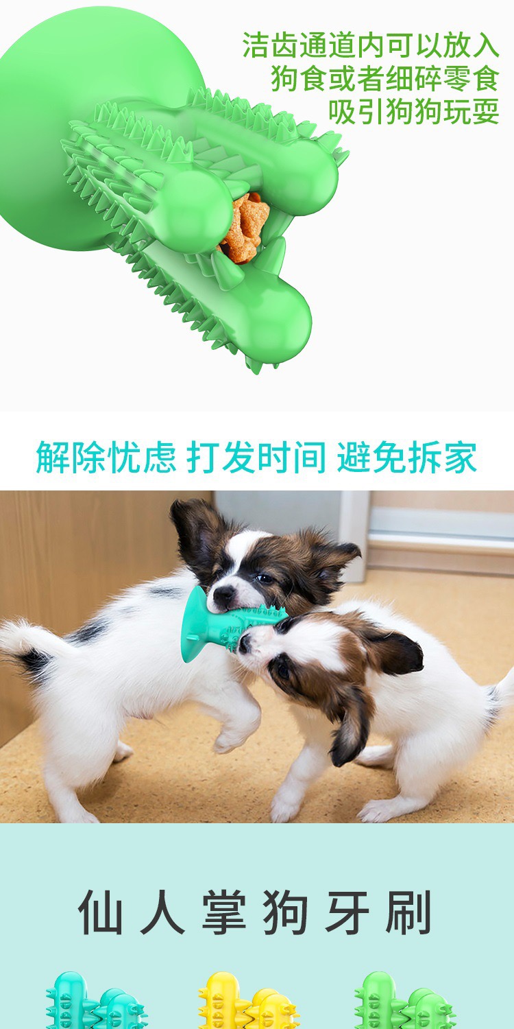 Pet products new Amazon dog toothbrush cactus dog grinding stick leaky food bite resistant undefined