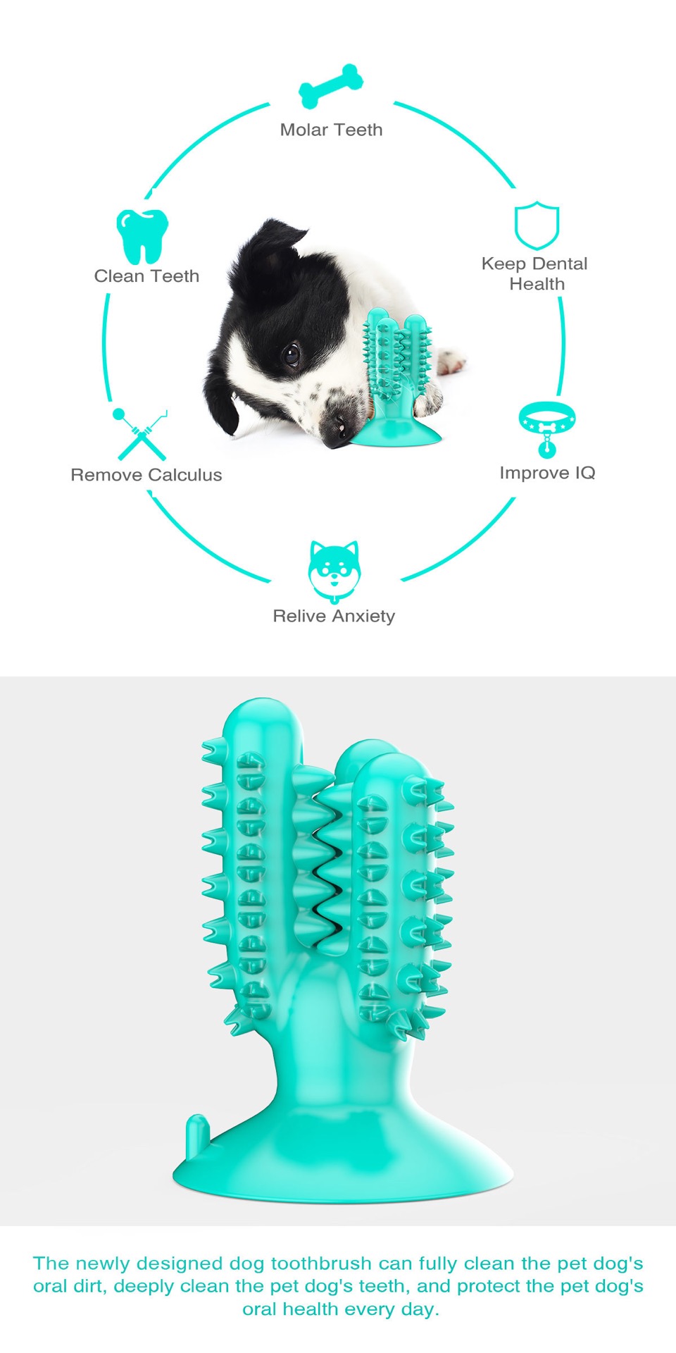 Pet products new Amazon dog toothbrush cactus dog grinding stick leaky food bite resistant undefined