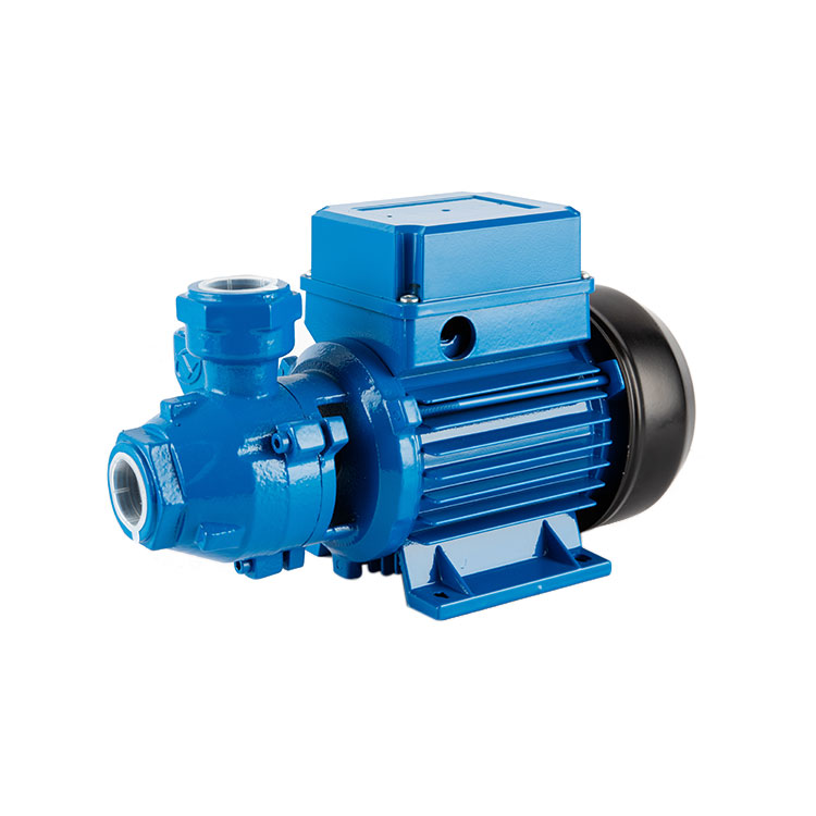 KF Series Domestic Clean Water Pump (CE ISO 9001) for Iraq