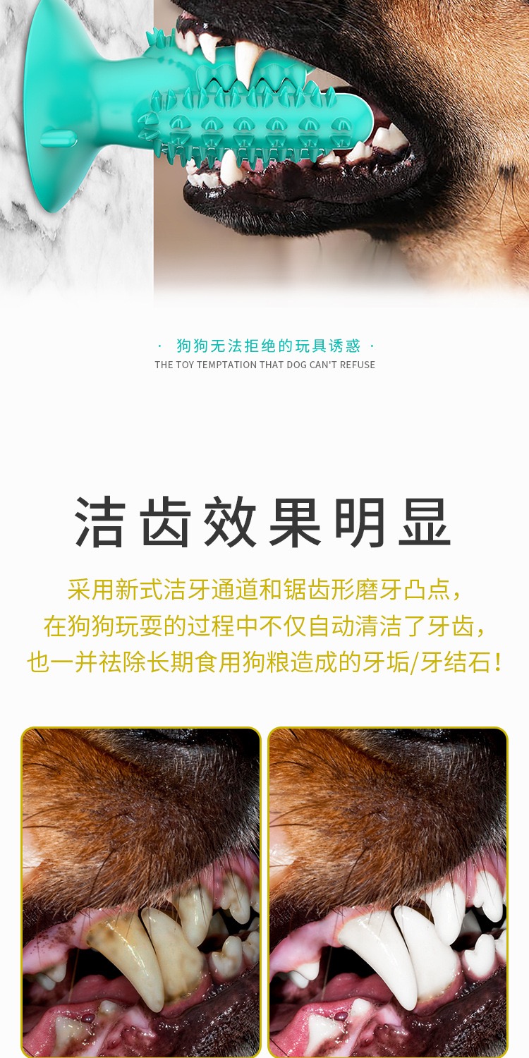 Pet products new Amazon dog toothbrush cactus dog grinding stick leaky food bite resistant undefined