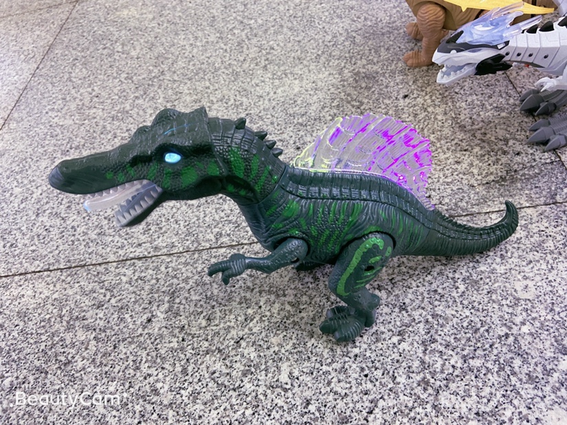 恐龙6