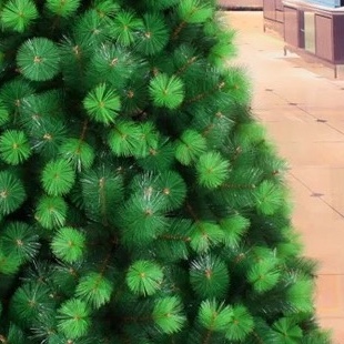 A 2.1-meter-tall, two-color luxurious pine needle bare tree details Picture