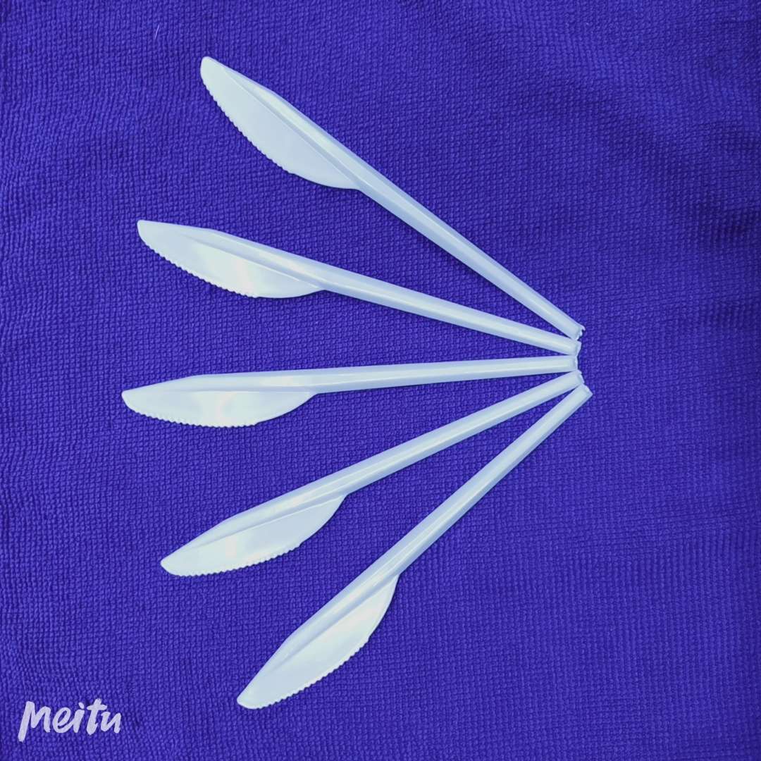 一次性塑料刀中东长度165mm 100个/包 50包/箱