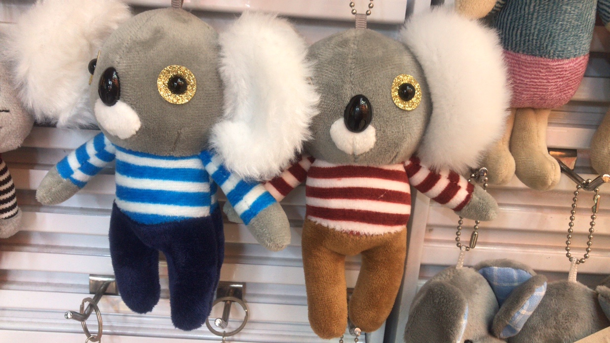The koala thumbnail