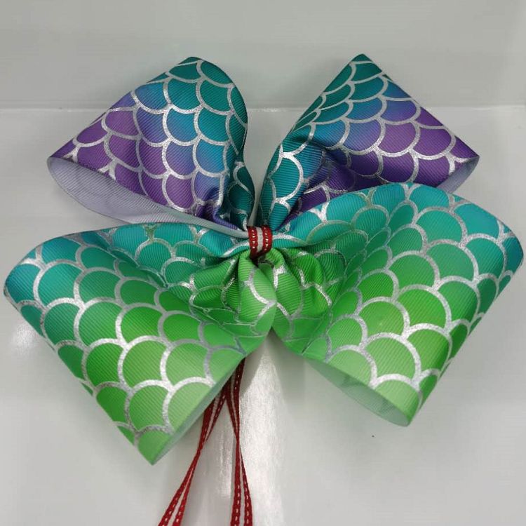 75Cm Polyester Rib With Heat Transfer Ribbon Hot Stamping (Silver) Webbing Manufacturers Direct Spot Custom Accessories Item Picture