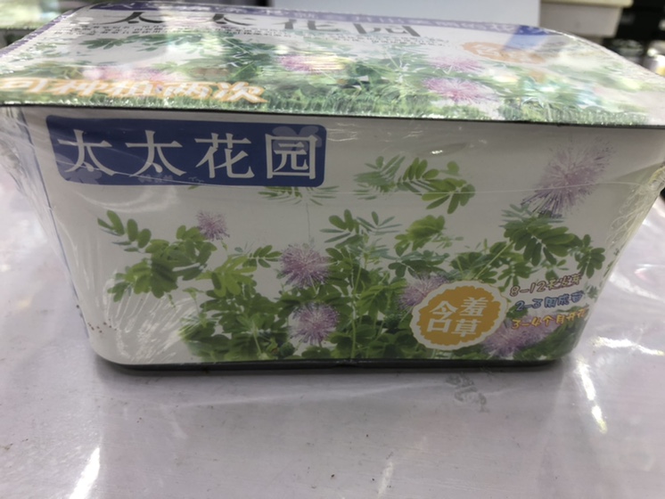 太太花园细节图