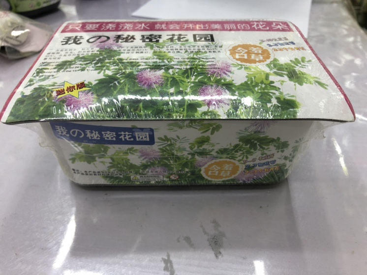 秘密花园