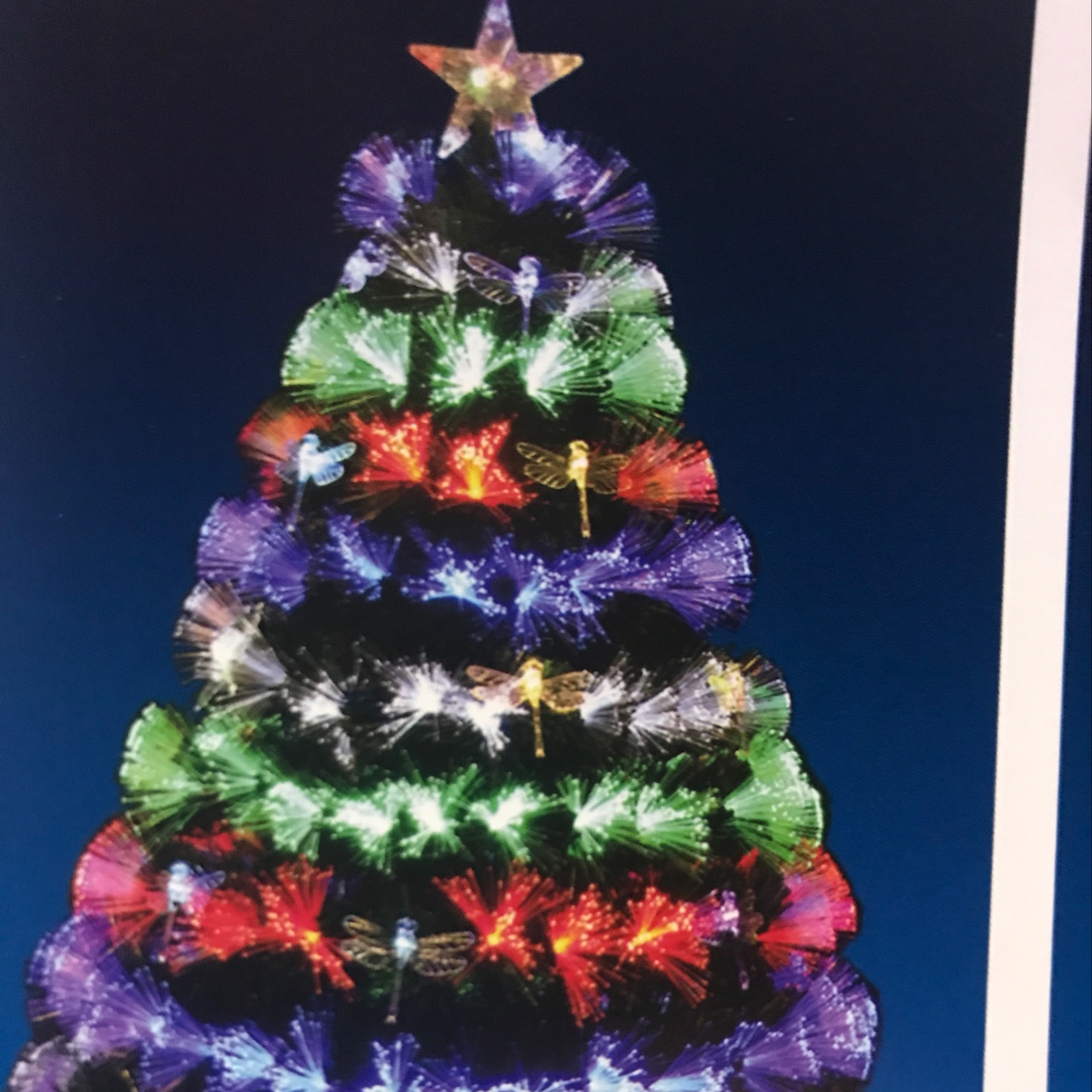 Colorful Dragonfly Christmas