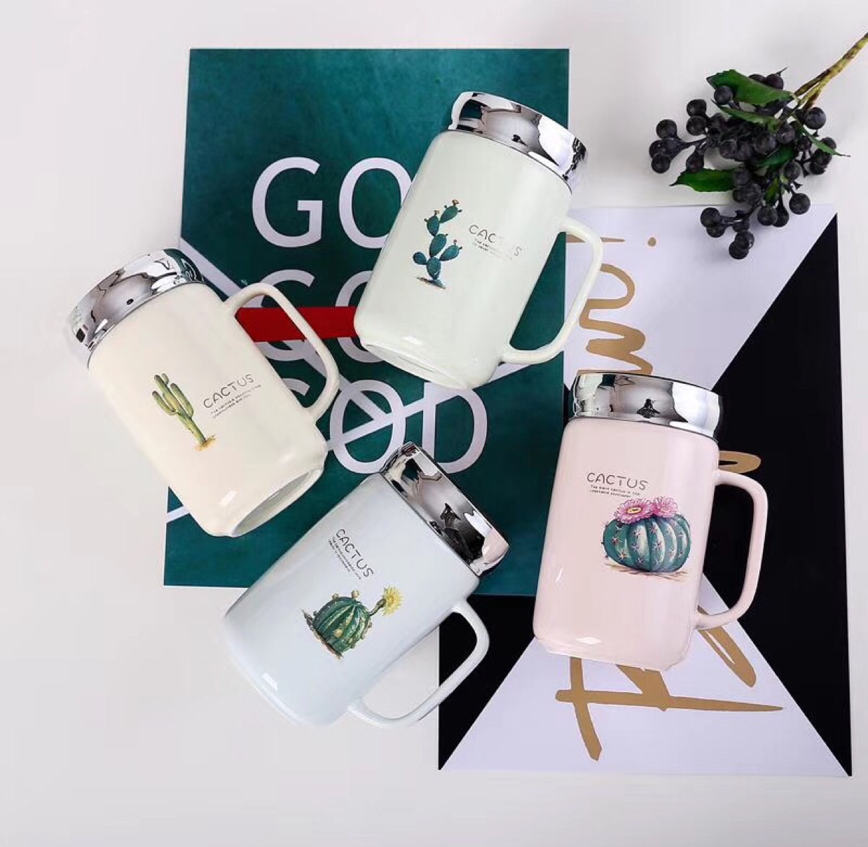 彩色方形杯热带植物