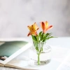Modern and simple vertical striped high borosilicate glass vases, hydroponic plant flower vases, bathroom dining table creative decorative items, factory direct sales and wholesale details Picture