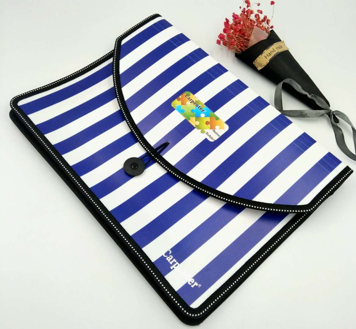 风琴包、文件包实物图