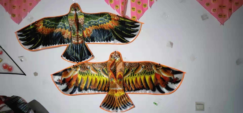 140cm bright cloth Eagle thumbnail