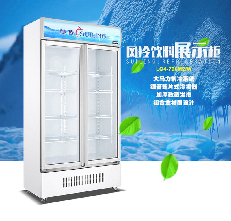 LG4-700M2/W单温无霜风冷机组下置冰柜 立式展示柜 冰柜 冰箱
