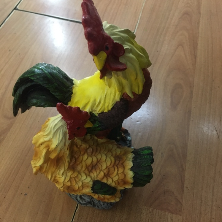 双只公鸡