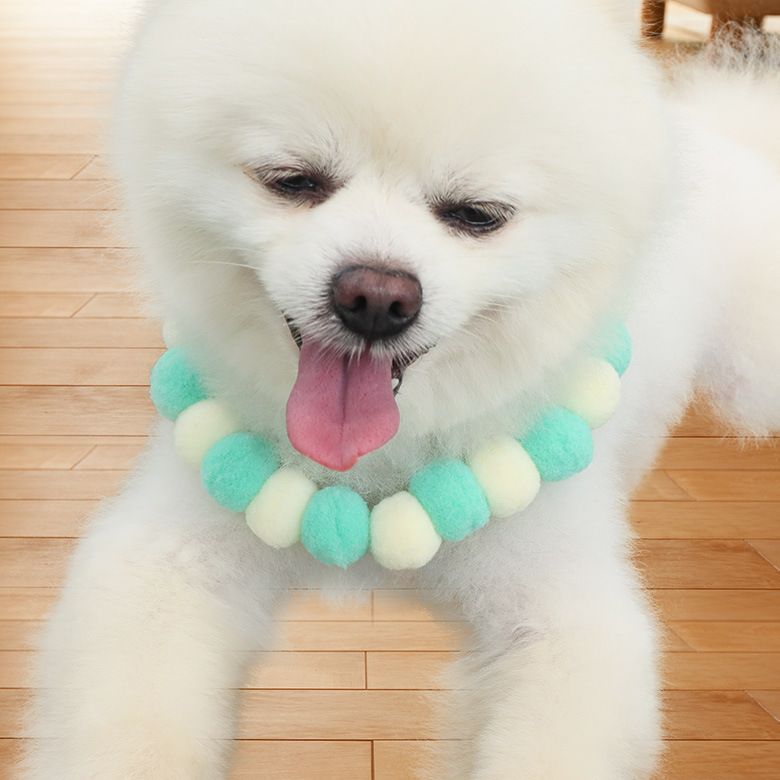 Direct sales from the manufacturer of pet cat collars. DIY cat pom-pom elastic collars, pom-pom pet collars, cat and dog collars details Picture