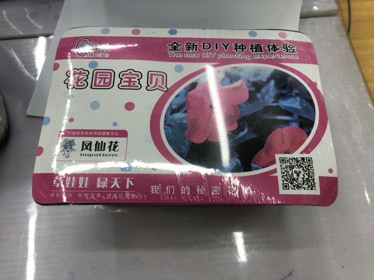 花园宝贝