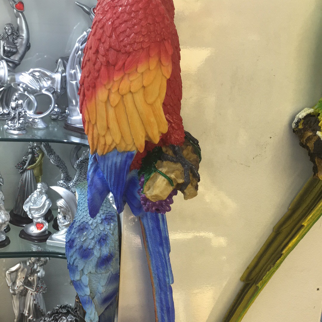 Parrots hanging thumbnail