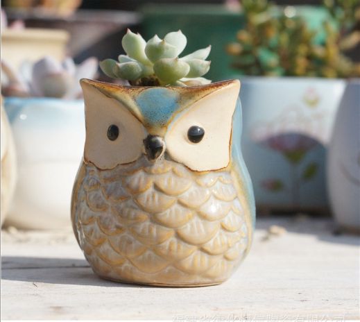 多肉花盆园艺陶瓷迷你小新品创意粗陶复古家居新品瓷罐子盆器1#详情6