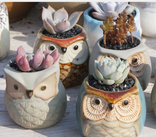 多肉花盆园艺陶瓷迷你小新品创意粗陶复古家居新品瓷罐子盆器1#详情2