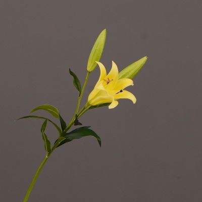 Yiwu Selection imitation artificial flower wholesale PU flower imitation iron gun lily living room table tea table decoration flowers Application Scenario